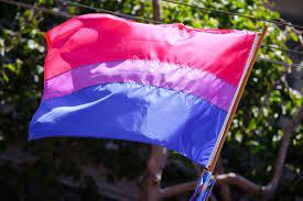 WMC F Bomb Bisexual Pride Flag Wikimedia 92222