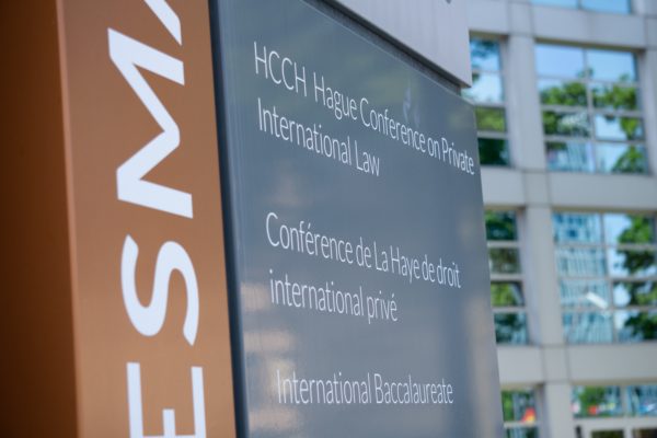 2023 hague building by Erwin Veenstra