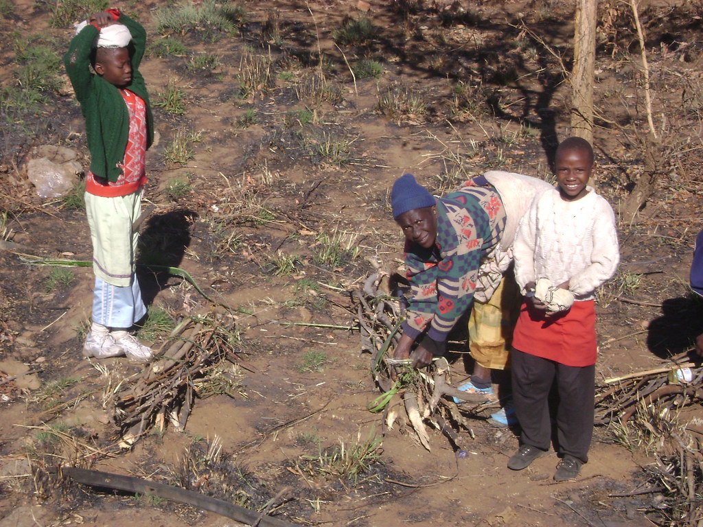 1921593133 0fbc129596 b